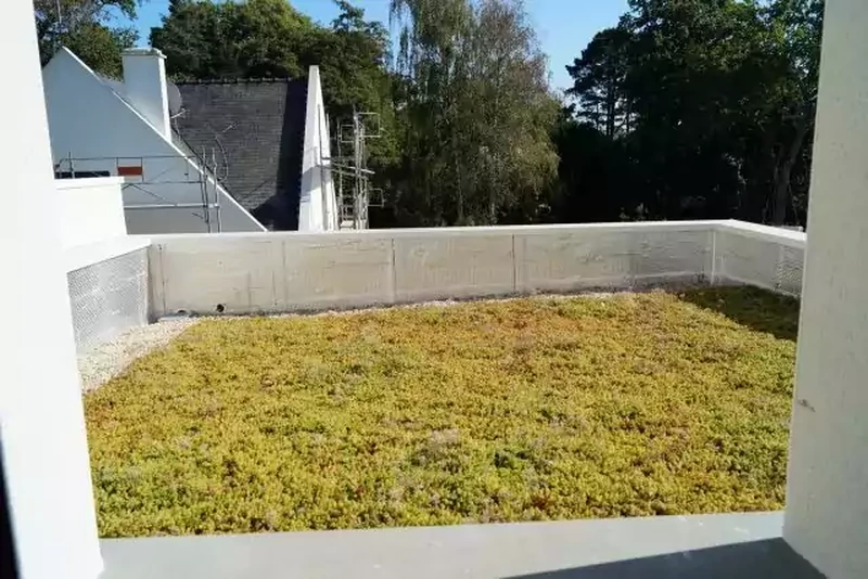 Toitures terrasses végétalisées